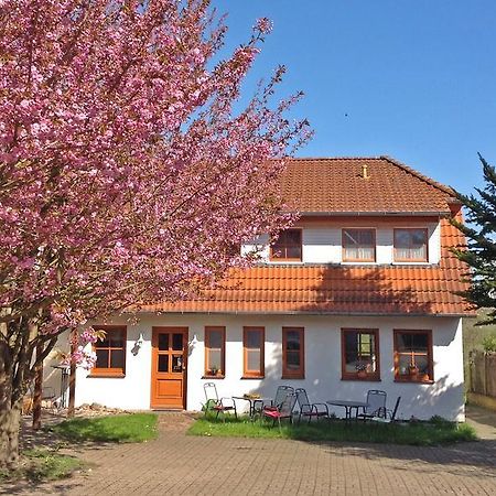 Landpension Zum Kleinen Urlaub Wredenhagen Kamer foto