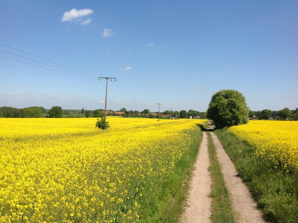 Landpension Zum Kleinen Urlaub Wredenhagen Buitenkant foto